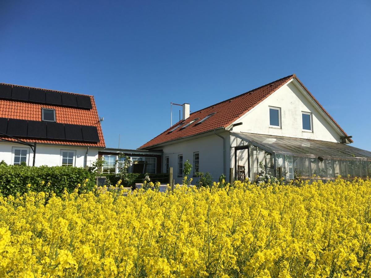 Bed and Breakfast Margretelyst à Farsø Extérieur photo