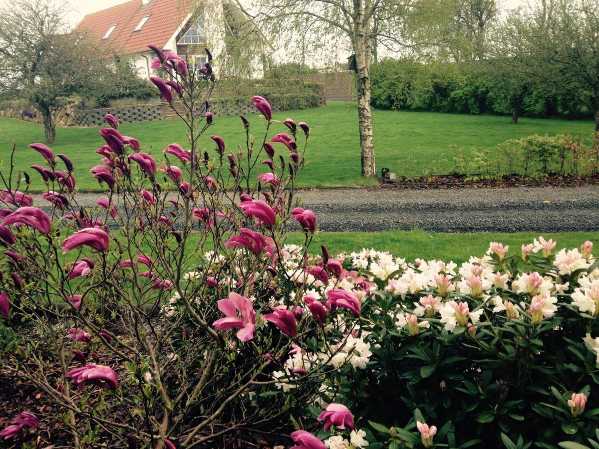 Bed and Breakfast Margretelyst à Farsø Extérieur photo